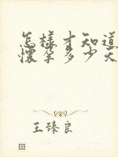 怎样才知道自己怀孕多少天