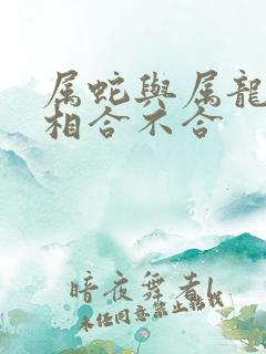 属蛇与属龙的属相合不合