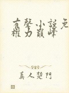 有声小说免费听权力巅峰