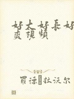 好大好长好粗好爽视频