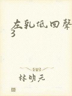 左乳低回声结节3