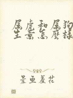 属虎和属狗合作生意怎么样