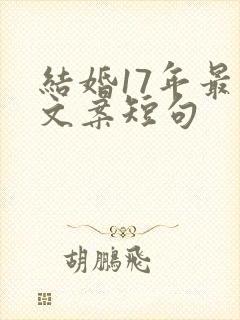结婚17年最火文案短句