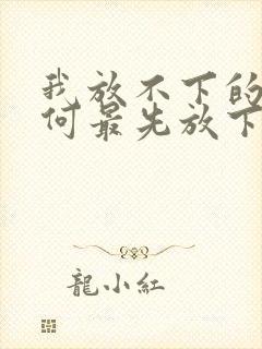 我放不下的人为何最先放下我是什么歌