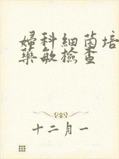 妇科细菌培养+药敏检查