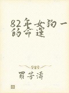 82年女狗一生的命运