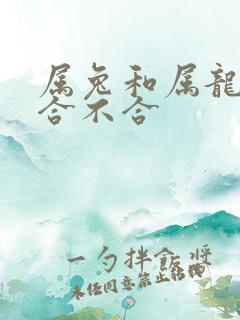 属兔和属龙生肖合不合