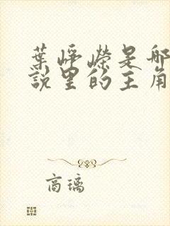 叶峥嵘是哪本小说里的主角