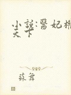 小说:医妃权倾天下