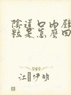 阴道口内壁有颗粒是怎么回事