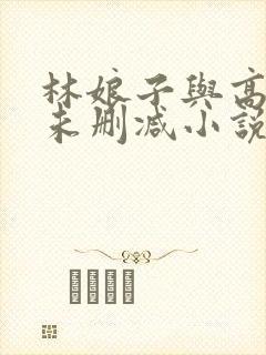 林娘子与高衙内未删减小说