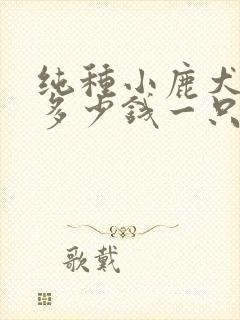 纯种小鹿犬幼犬多少钱一只