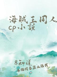 海贼王同人女主cp小说