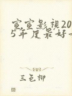 宣宣影视2025年度最好看电视剧