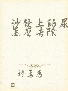 沙发上的尿骚味怎么去除