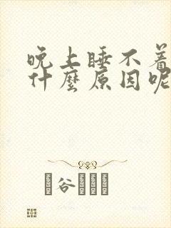 晚上睡不着觉是什么原因呢