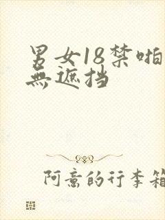 男女18禁啪啪无遮挡