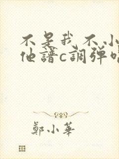 不是我不小心吉他谱c调弹唱