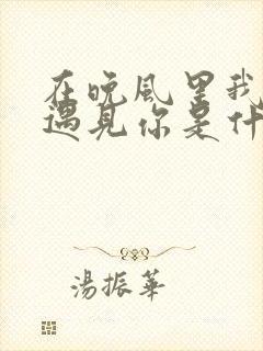 在晚风里我终于遇见你是什么歌