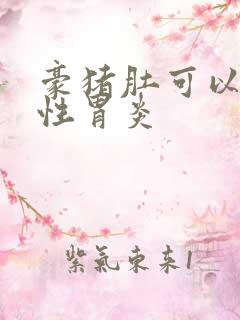 豪猪肚可以治慢性胃炎