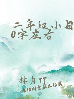 二年级小日记50字左右