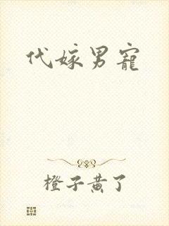 代嫁男宠