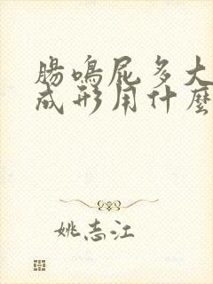 肠鸣屁多大便不成形用什么药