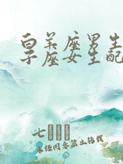 白羊座男生和双子座女生配对指数