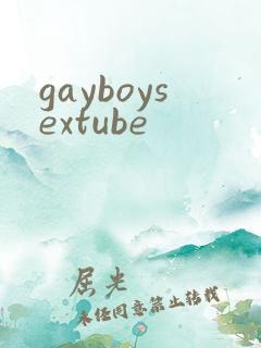gayboysextube