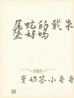 属蛇的戴朱砂吊坠好吗