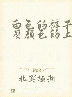 白色的裤子配什么颜色的上衣