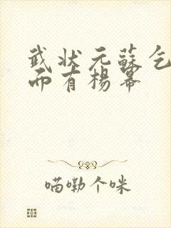 武状元苏乞儿里面有杨幂