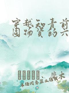 穿越知青前疯狂囤物资的六零小说