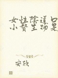 女性阴道口上有小赘生物是怎么回事