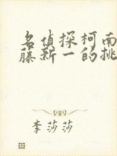 名侦探柯南 工藤新一的挑战书