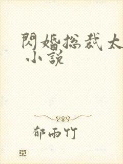 闪婚总裁太凶猛 小说