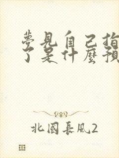 梦见自己指甲断了是什么预兆