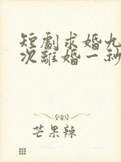 短剧求婚九十九次离婚一秒钟