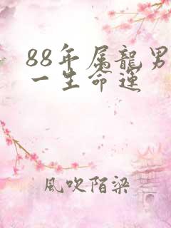 88年属龙男人一生命运