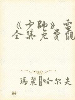 《少帅》电视剧全集免费观看高清