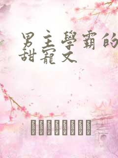 男主学霸的校园甜宠文