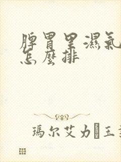 脾胃里湿气太重怎么排