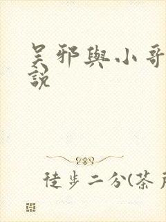 吴邪与小哥的小说