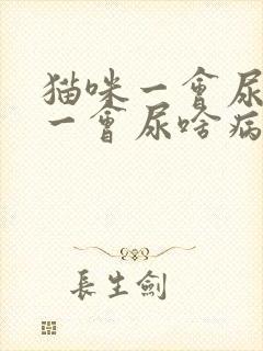 猫咪一会尿一点一会尿啥病