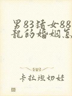 男83猪女88龙的婚姻怎么样