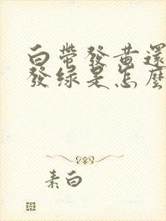 白带发黄还有点发绿是怎么回事