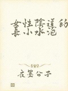 女性阴道的边边长小水泡