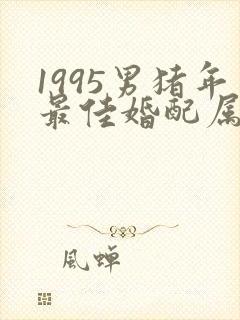 1995男猪年最佳婚配属相