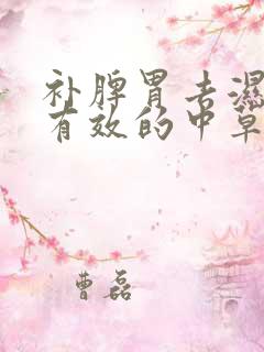 补脾胃去湿气最有效的中草药