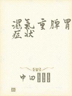 湿气重脾胃不和症状